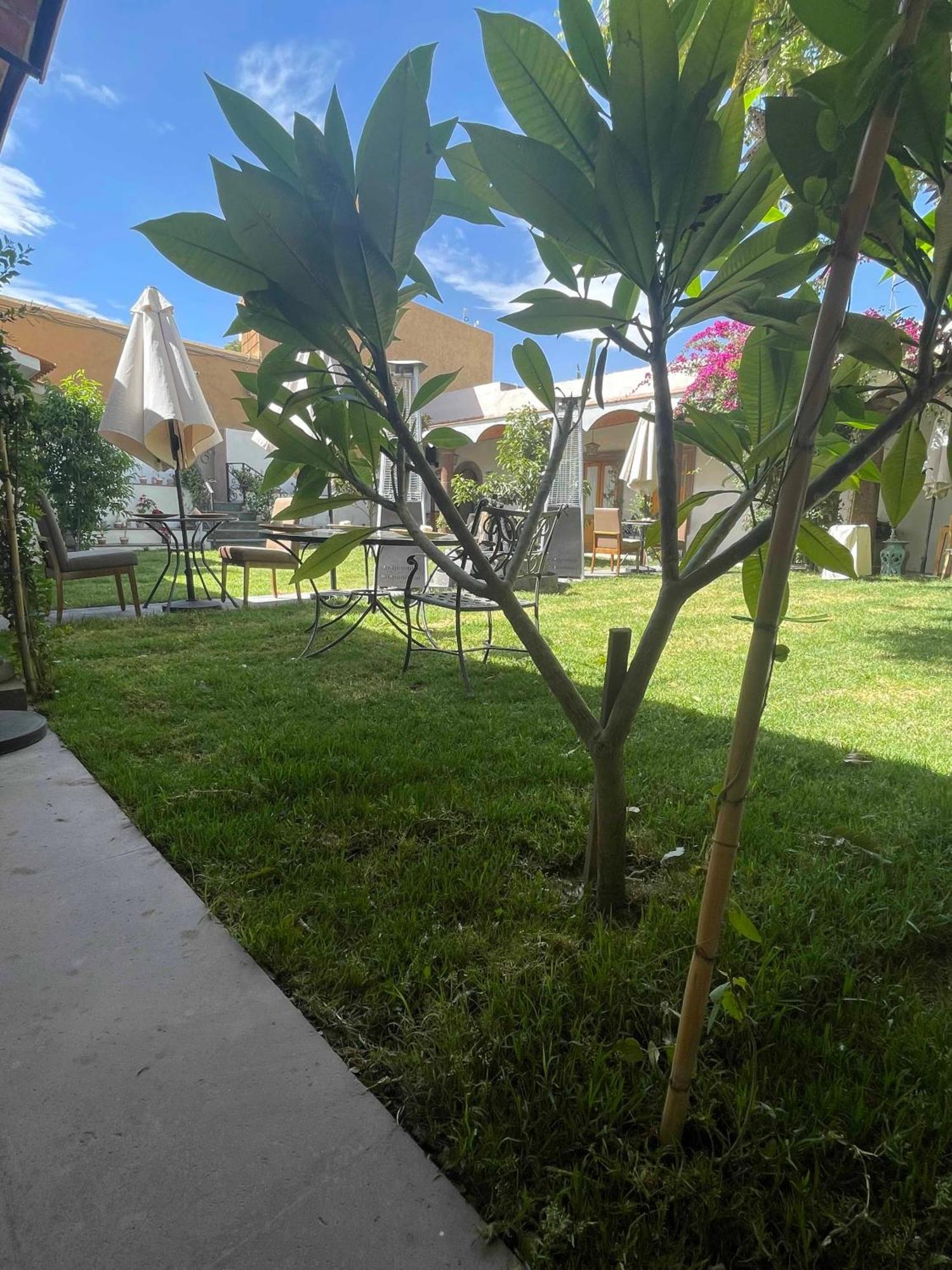 Hotel Casona El Calvario Huichapan ภายนอก รูปภาพ